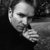 Sting - List pictures