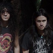 Vektor - List pictures