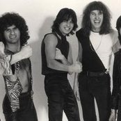 Krokus - List pictures