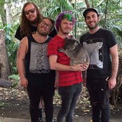 Pears - List pictures