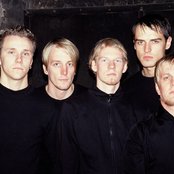 Maroon - List pictures