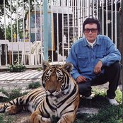 Fancy - List pictures