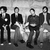 Rogue Wave - List pictures