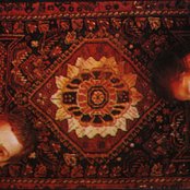 The Flying Lizards - List pictures