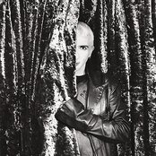 Marc Almond - List pictures