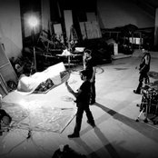 Mandragore - List pictures