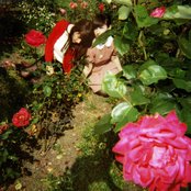 Veronica Falls - List pictures