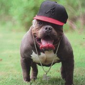 Dungeon Family - List pictures