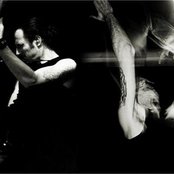 Disillusion - List pictures