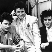 Arcadia - List pictures