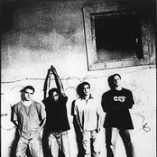 Quicksand - List pictures