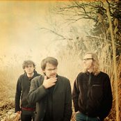 The Notwist - List pictures