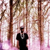 Spaceghostpurrp - List pictures