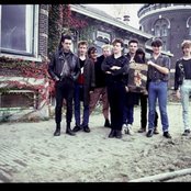 Chameleons - List pictures