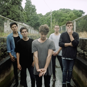 Gold Fields - List pictures