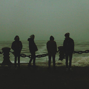 Great Dane - List pictures