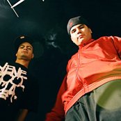 Madzilla - List pictures