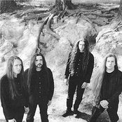 Paramaecium - List pictures