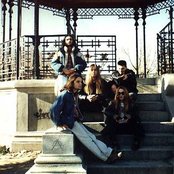 Haemorrhage - List pictures