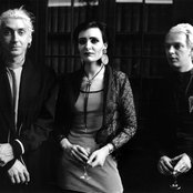 Siouxie - List pictures