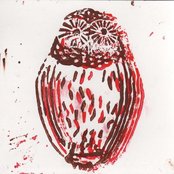 The Cave Singers - List pictures