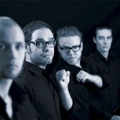 Viikate - List pictures