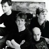 Shriekback - List pictures
