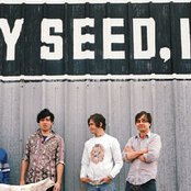 Grizzly Bear - List pictures