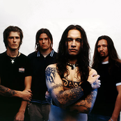 Ektomorf - List pictures