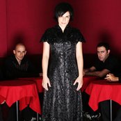 Pato Fu - List pictures