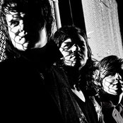 White Apple Tree - List pictures