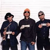 Rabanes - List pictures