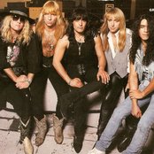 Great White - List pictures