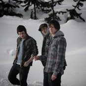 Mimicking Birds - List pictures