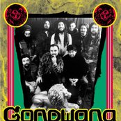 Gondwana - List pictures