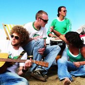 Leaf - List pictures