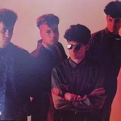 Neon - List pictures