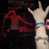 Mickey Avalon - List pictures
