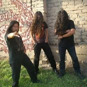 Kranium - List pictures