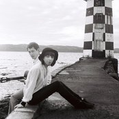 French For Rabbits - List pictures