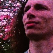 Steve Taylor - List pictures