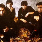 Stranglers - List pictures