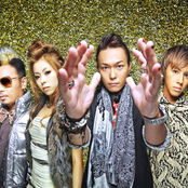 No Doubt Flash - List pictures