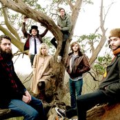 The Head And The Heart - List pictures