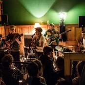 Seed To Tree - List pictures