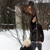 The Deer Tracks - List pictures