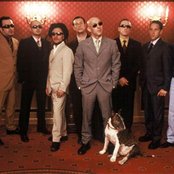 Giuliano Palma & The Bluebeaters - List pictures