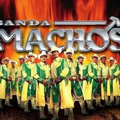 Banda Machos - List pictures