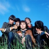 Mando Diao - List pictures