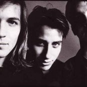 Lemonheads - List pictures